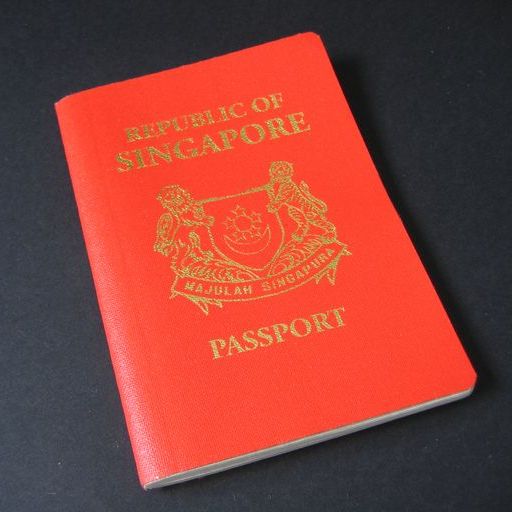 a red Singapore passport