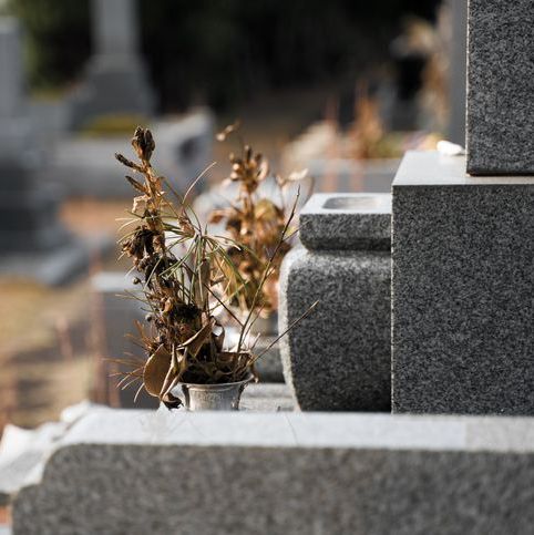 dead flowers on a gravestone